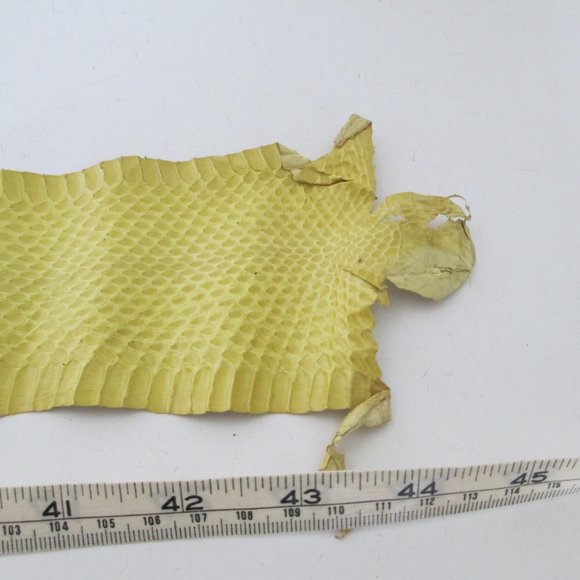 BUNDLE OF EXOTIC LIZARD SKINS AND SNAKESKIN - Picture 15 of 16